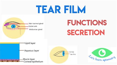 tear film function tests|biochemical function of tear film.